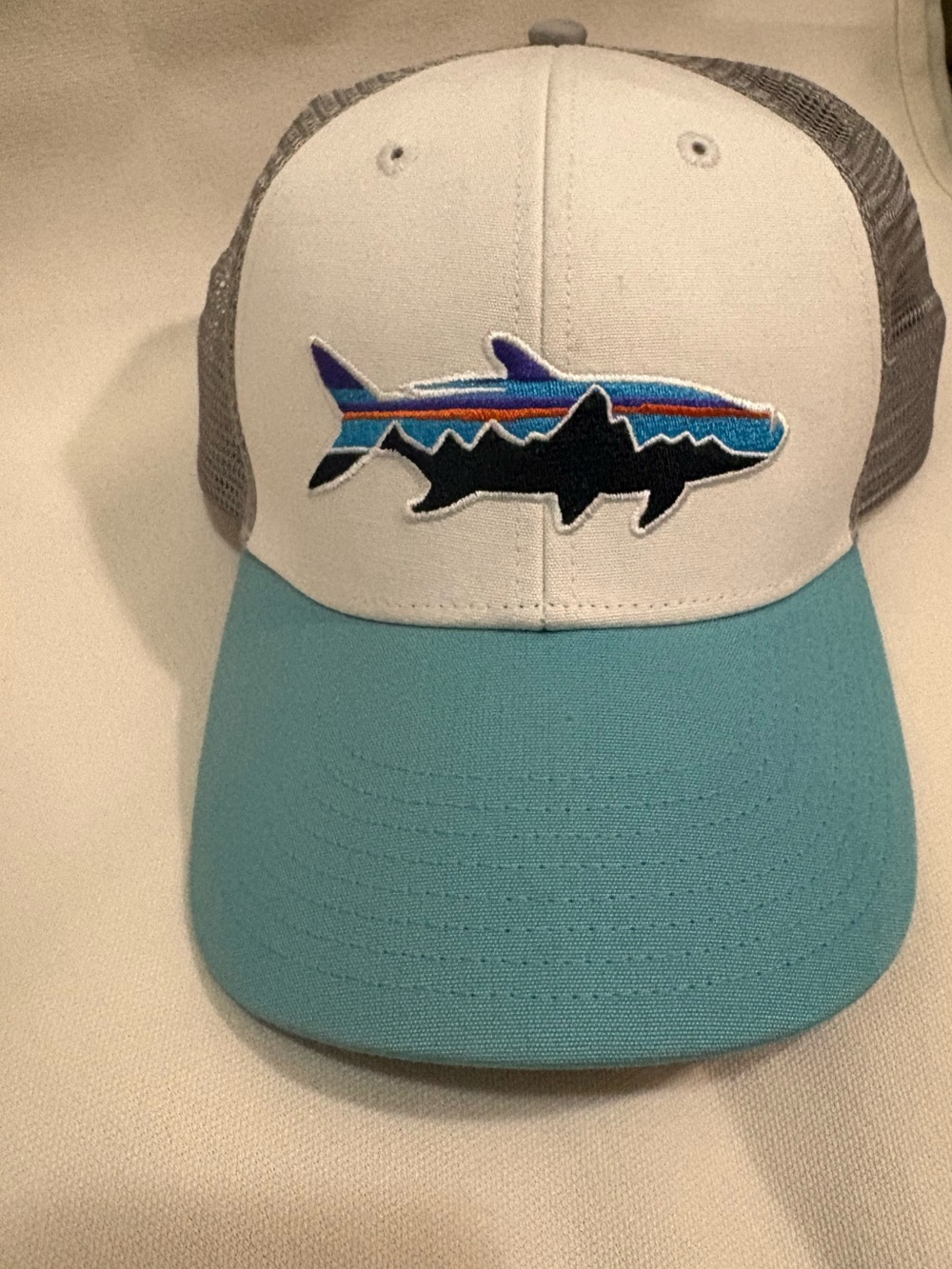 Patagonia Gray, turquoise, and White Trucker Hat with Multicolor sturgeon Stitch